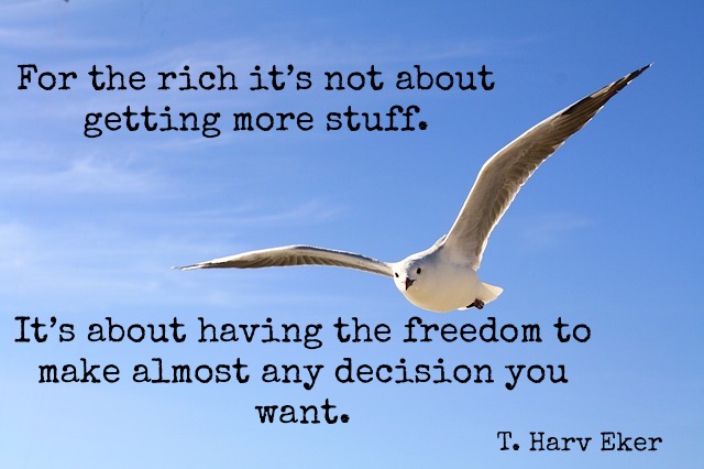 Seagull flying free - For the rich it's not about getting more stuff.  It's about having the freedom to make almost any decision you want.