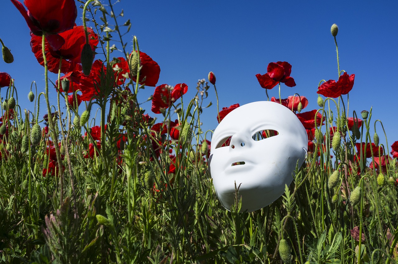 Mask in poppy field